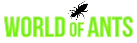 World of Ants